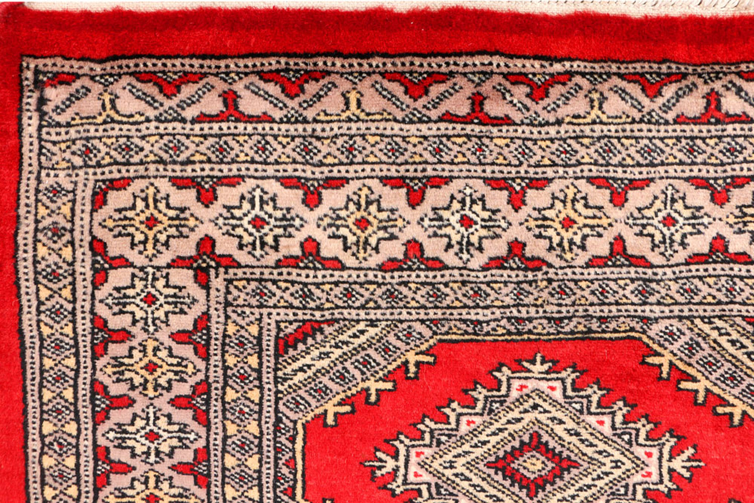 Cheap Rugs Chicago Exclusive Collection BUY NOW