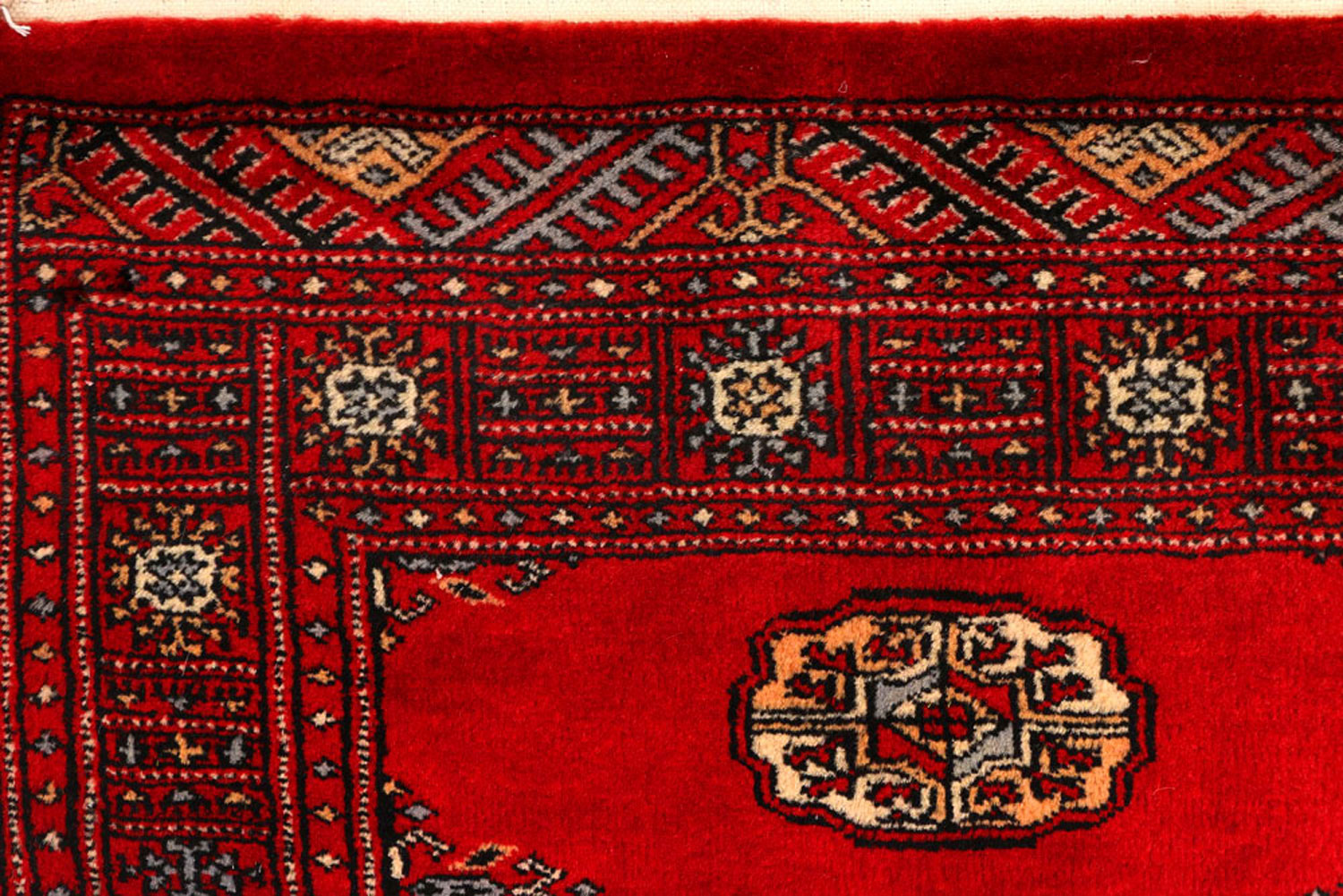 Birmingham Rugs Exclusive Handmade Rug Collection BUY NOW