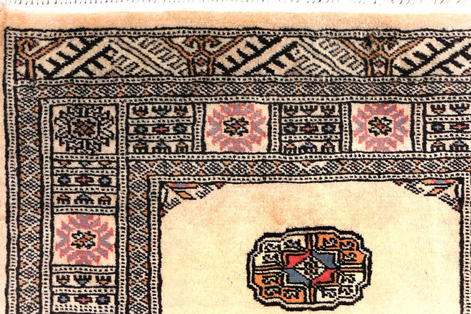 Area Rugs Los Angeles Exclusive Collection BUY NOW