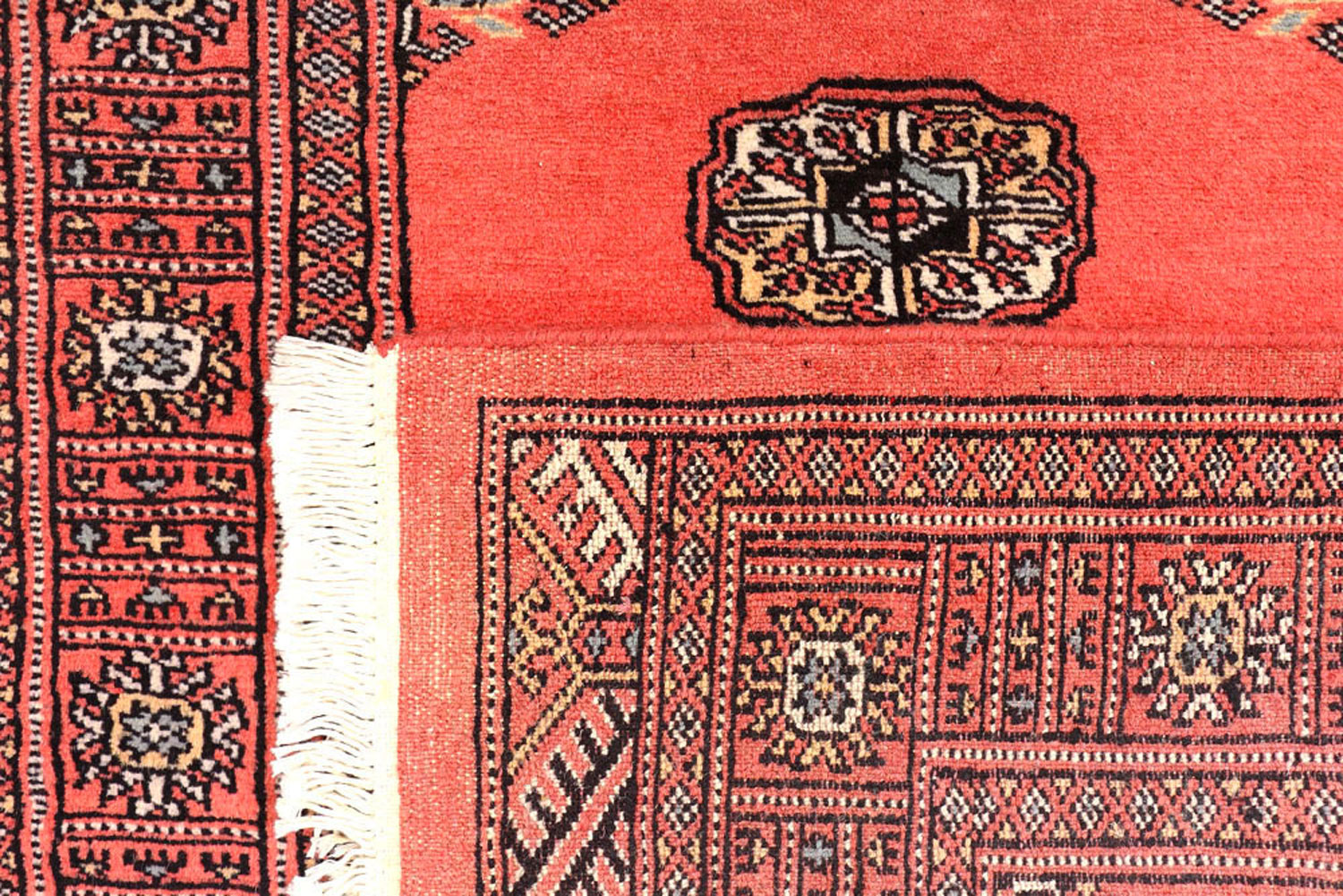 Durham Rug Cleaning Exclusive Collection BUY NOW