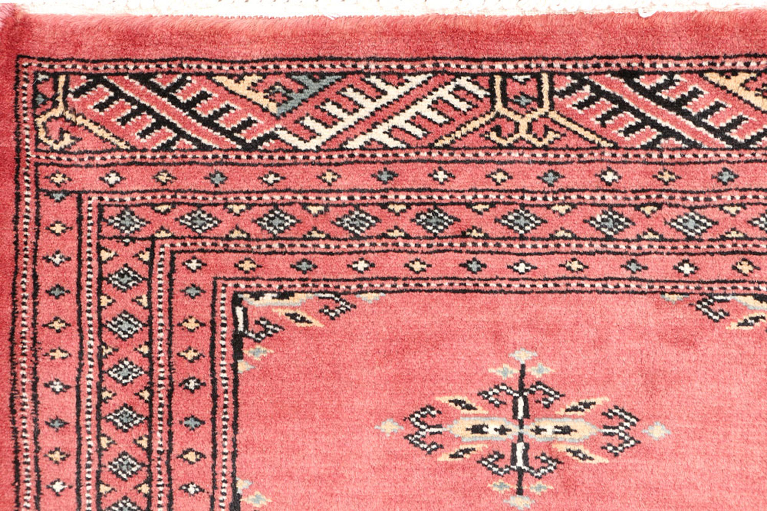Pakistan Bokhara Rug Exclusive Collection BUY NOW