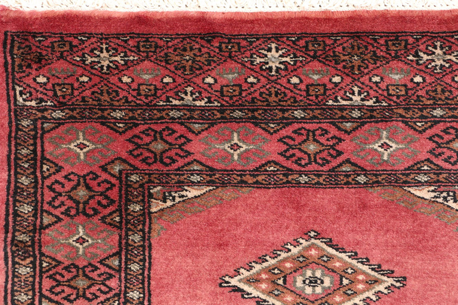 Pakistani Carpet Exclusive Handmade Rug Collection BUY NOW