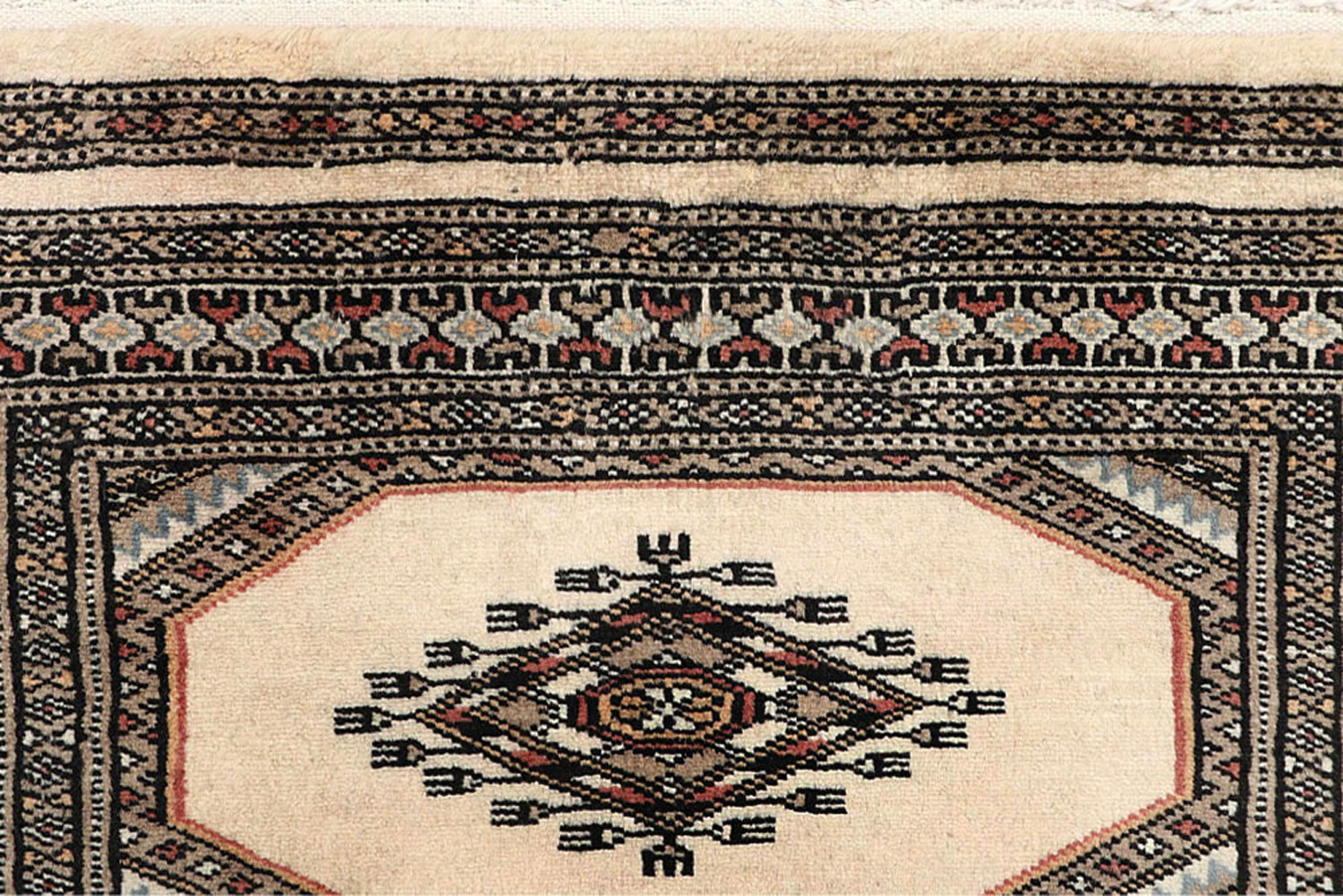 New Pakistani Rugs Exclusive Collection BUY NOW