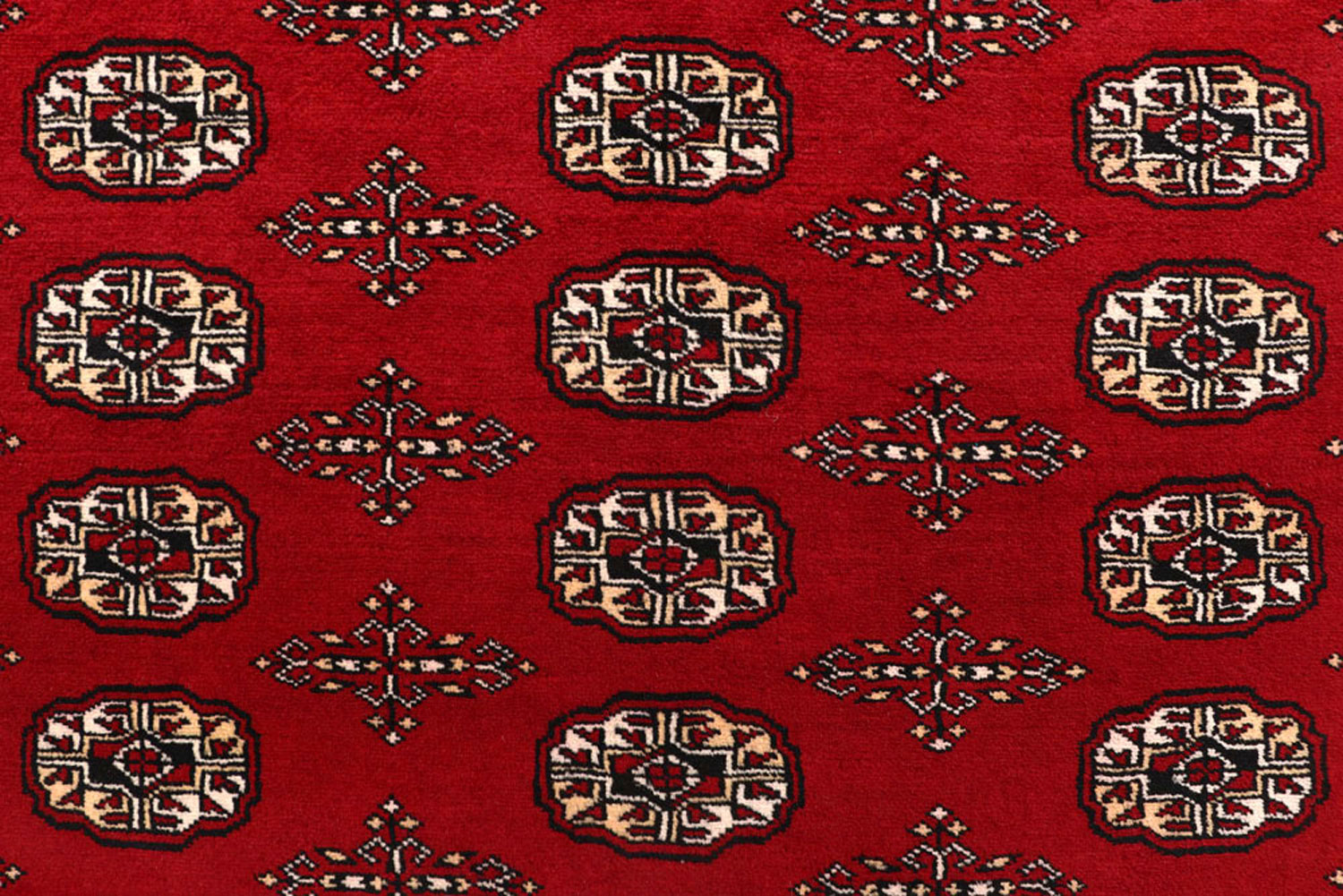 Carpet Washington Exclusive Collection BUY NOW