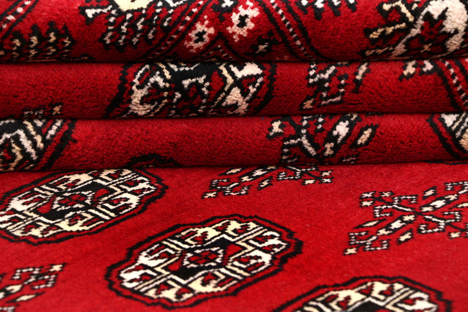 Carpet Washington Exclusive Collection BUY NOW