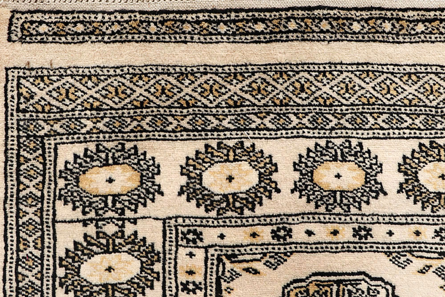 Carpet Store Burlington Exclusive Collection BUY NOW