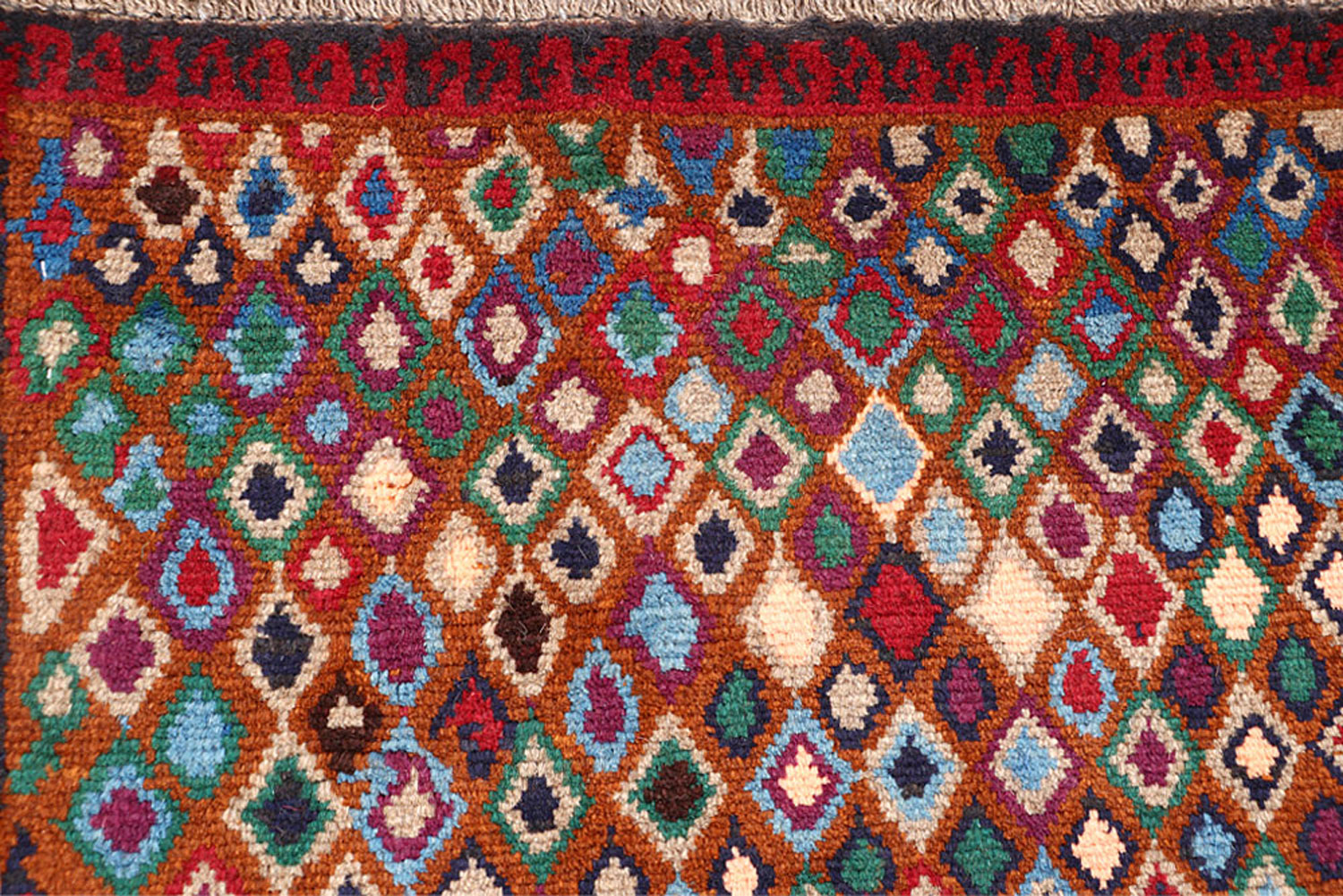 Best Pile Height For Carpet Exclusive Collection BUY NOW