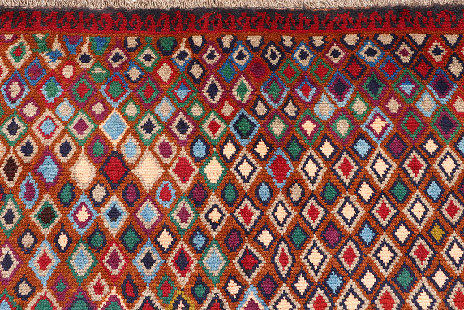 Best Pile Height For Carpet Exclusive Collection BUY NOW