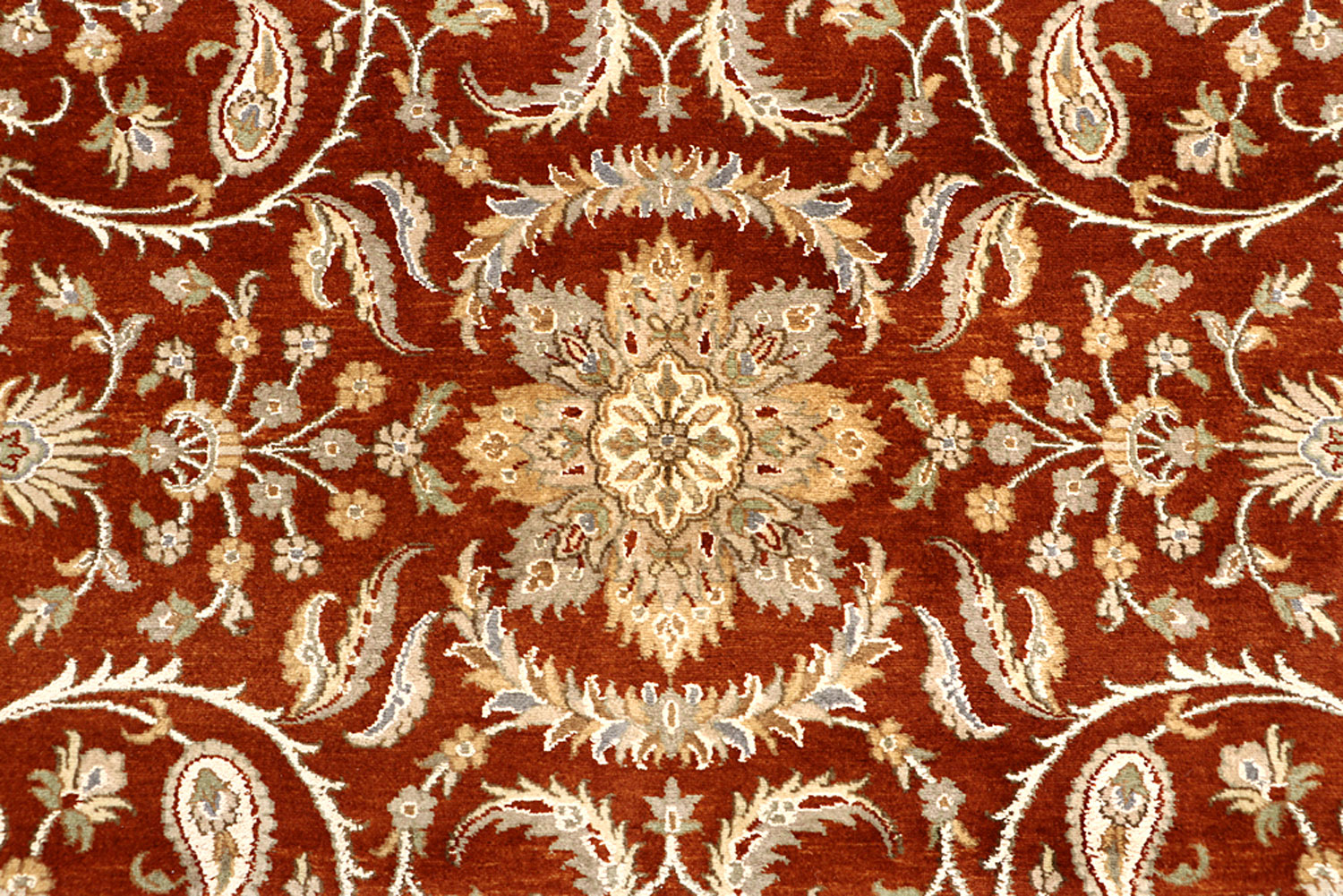 Showroom Exclusive Collection BUY NOW