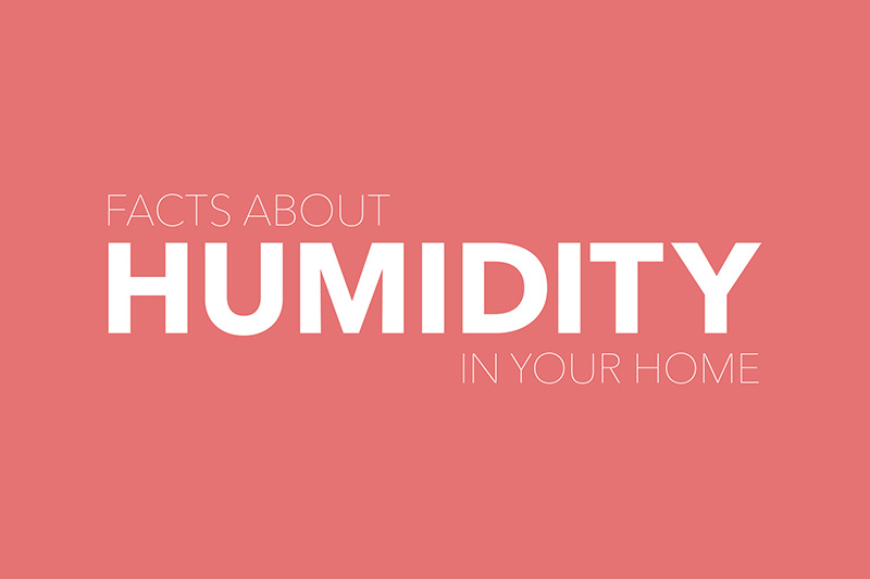 Video Facts About Humidity Indoor Air Quality Boise