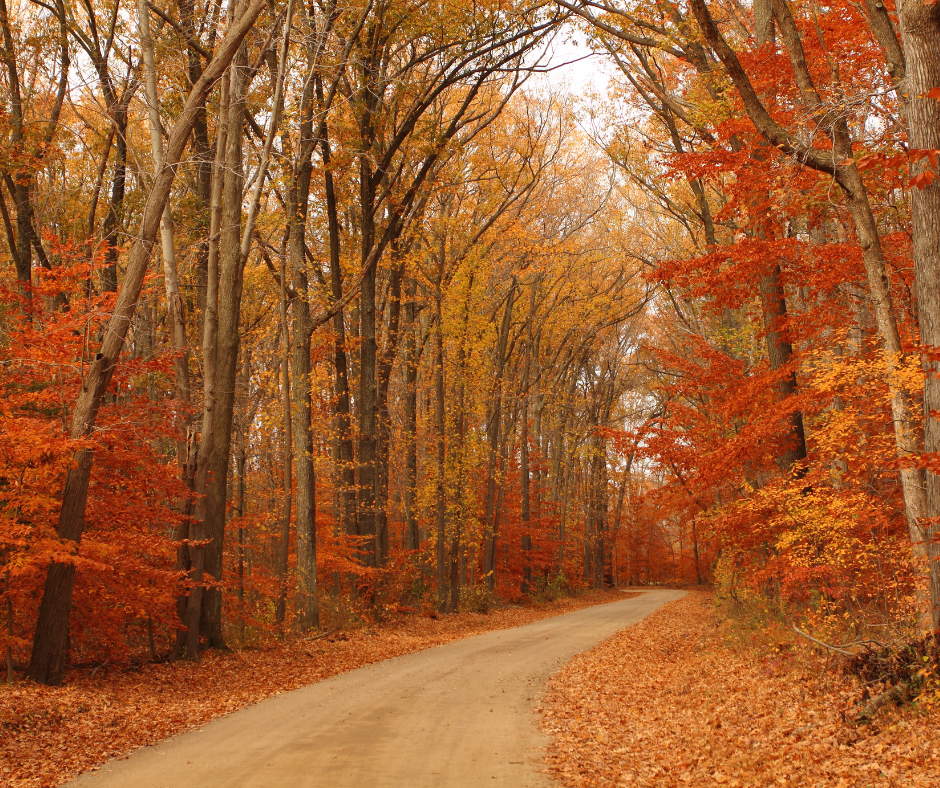 Fall electrical safety tips for homeowners Quality Electric