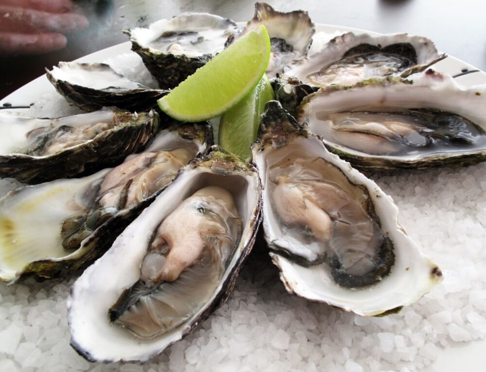 What to Do if Your Lobster is Dead? Safe to Cook, Live Guarantees