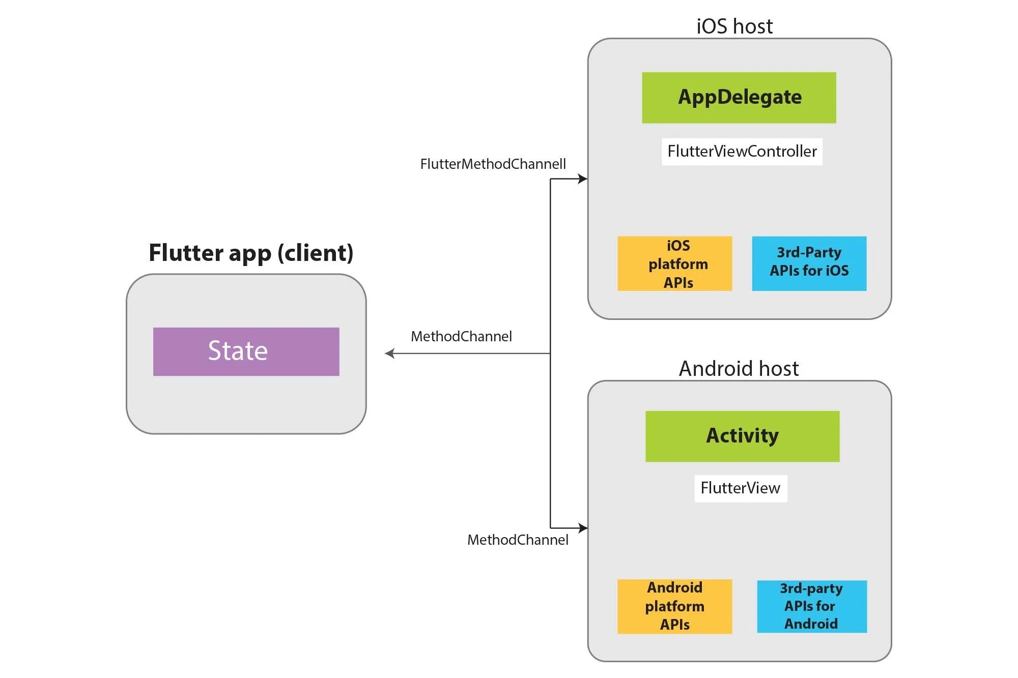 What Is Flutter? Discussing SDK, 10+ Flutter Libraries, Flutter Widget
