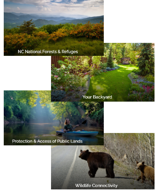 NC Wildlife Federation Google Ads Grant Campaign Quantifi