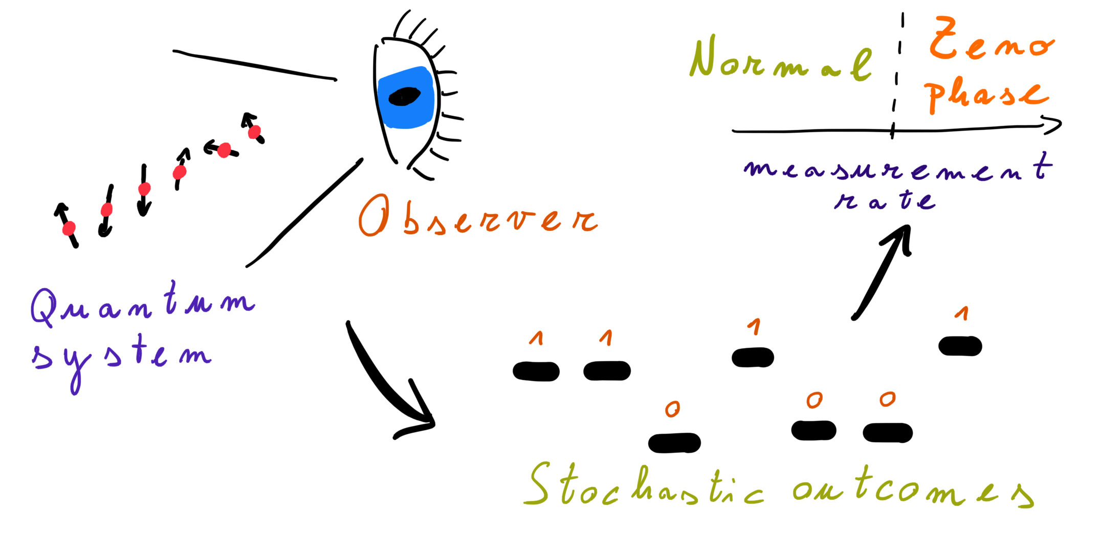 ManyBody Quantum Zeno Effect and MeasurementInduced Subradiance