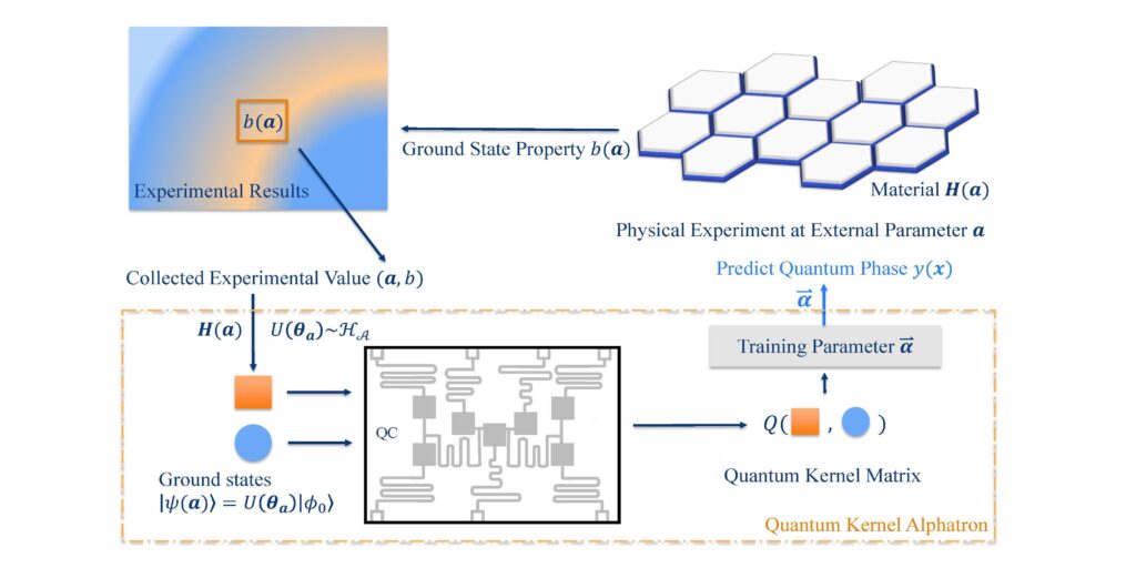 Quantum Phase Recognition via Quantum Kernel Methods Quantum