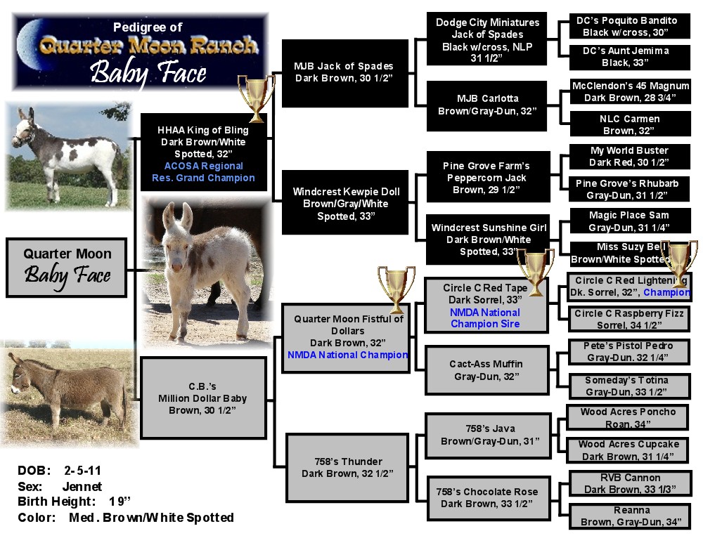 Quarter Moon Ranch Brood
