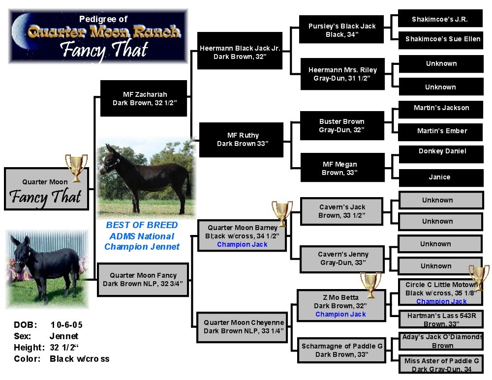 Quarter Moon Ranch Brood