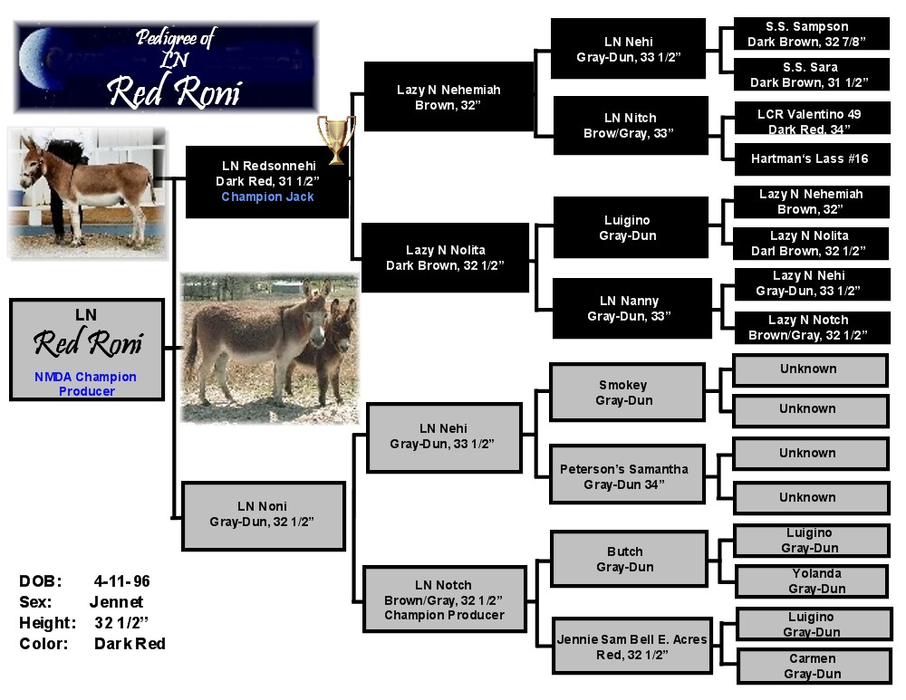 Quarter Moon Ranch Brood