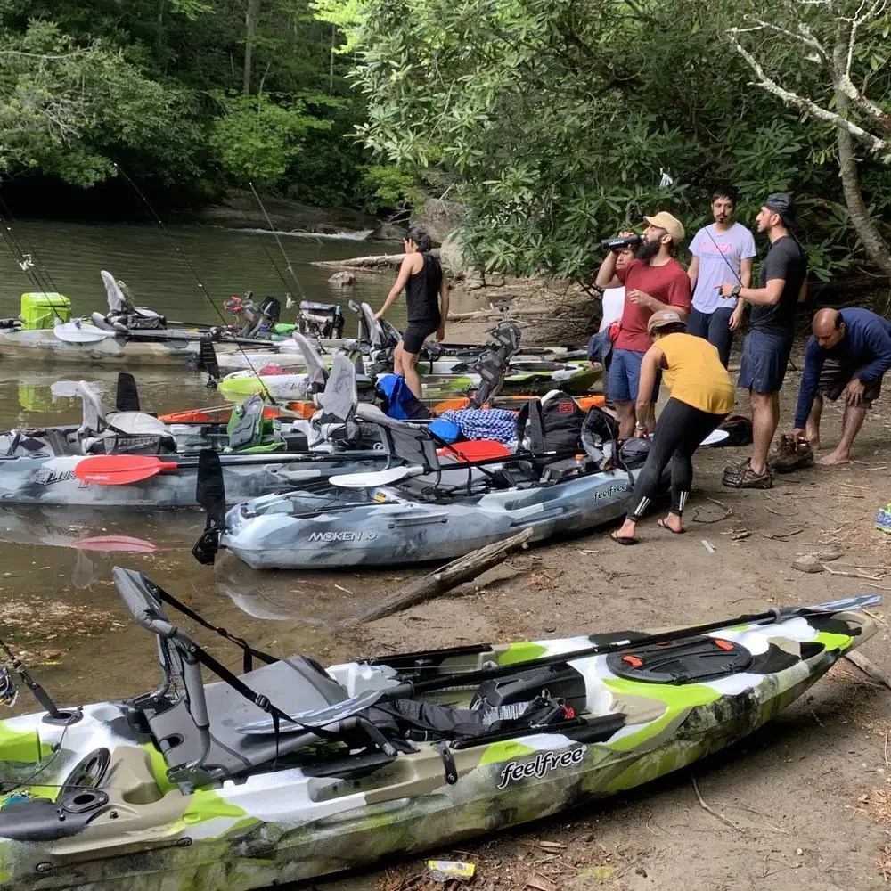 Exploring The Best Activities At Douglas Lake, Tn QuartzMountain