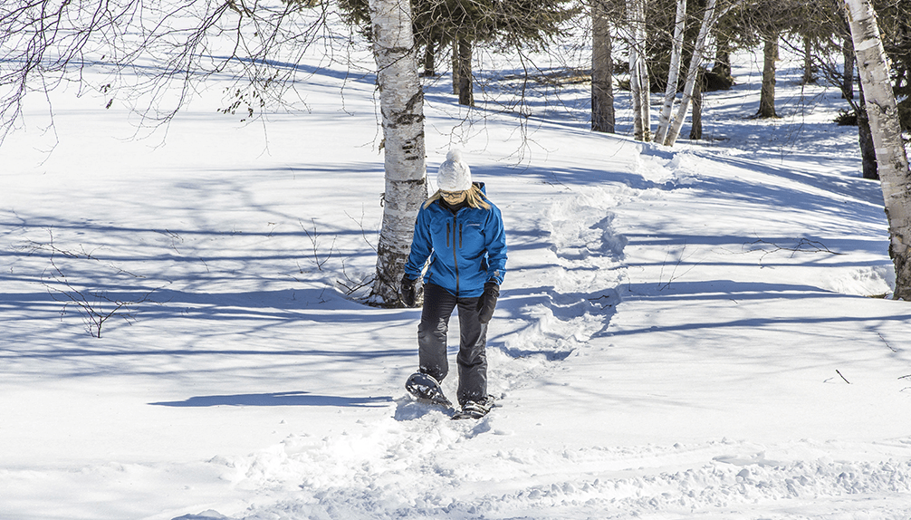 Discover the City of La Sarre Sheet