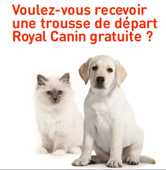 Les Coupons Rabais Royal Canin & Echantillons Gratuits