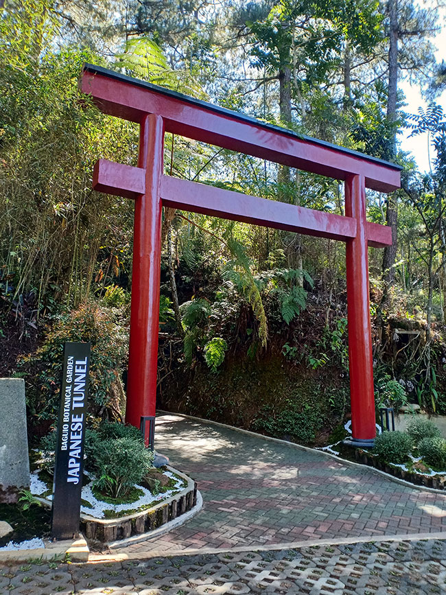 A Day in Baguio Botanical Garden Quedank