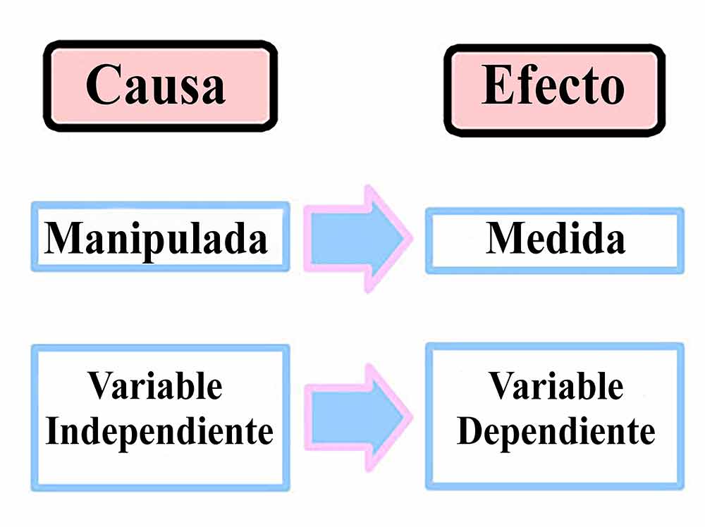 Qué diferencia hay entre variables independientes y dependientes Que