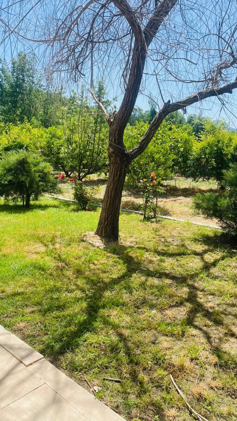 Stunning 3 Bedroom Bungalow in Big Plot of Land For Sale Queen