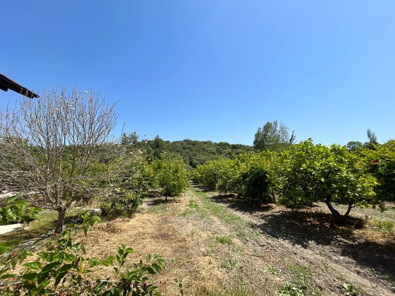 Stunning 3 Bedroom Bungalow in Big Plot of Land For Sale Queen