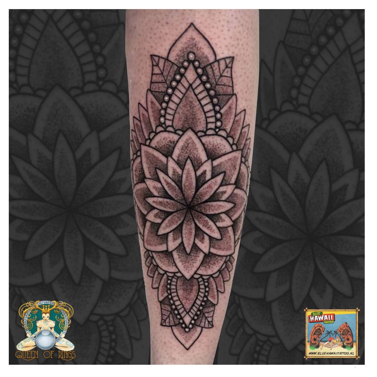 Gallery Queen of Rings