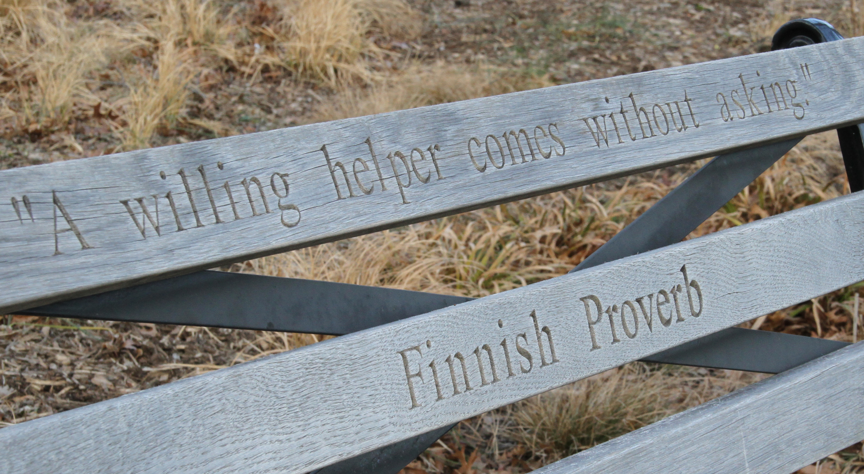 Adopt A Bench Queens Botanical Garden