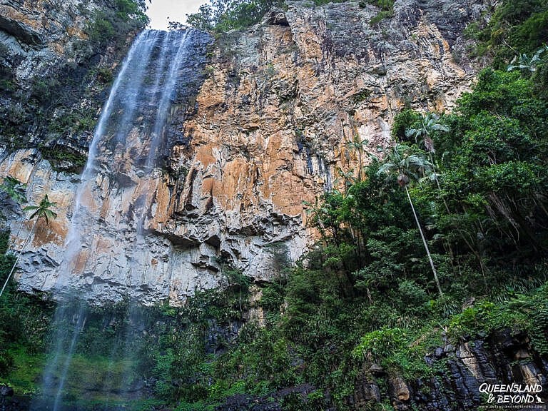 Springbrook National Park camping guide