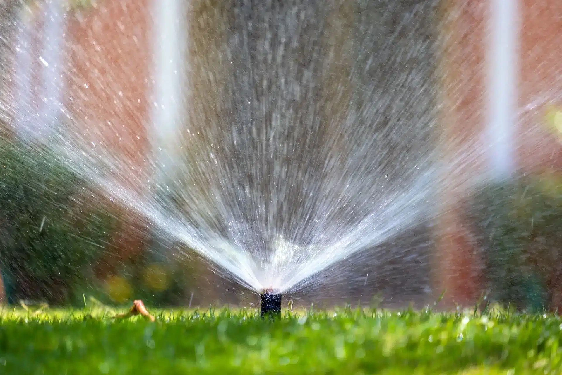 Irrigation Installation Brisbane — QLD Horticultural Services