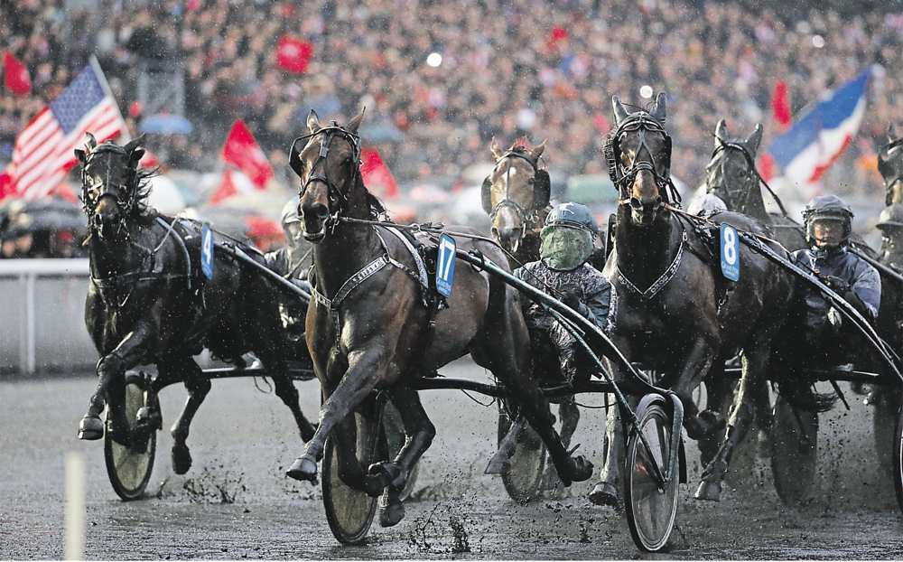 Grand Prix d'Amérique finale Epiqe Series. Que Faire à