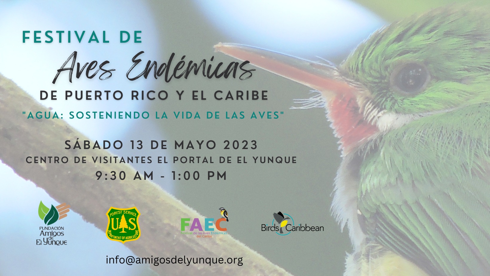 Festival de Aves Endémicas de Puerto Rico y El Caribe El Yunque