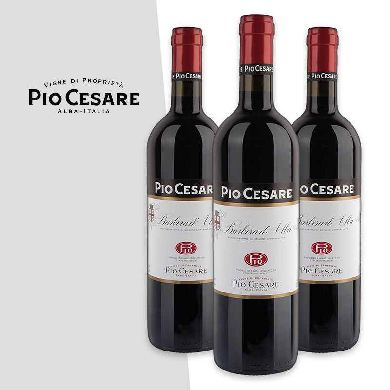 Best Value Barbera D Alba at Jackie Fullerton blog