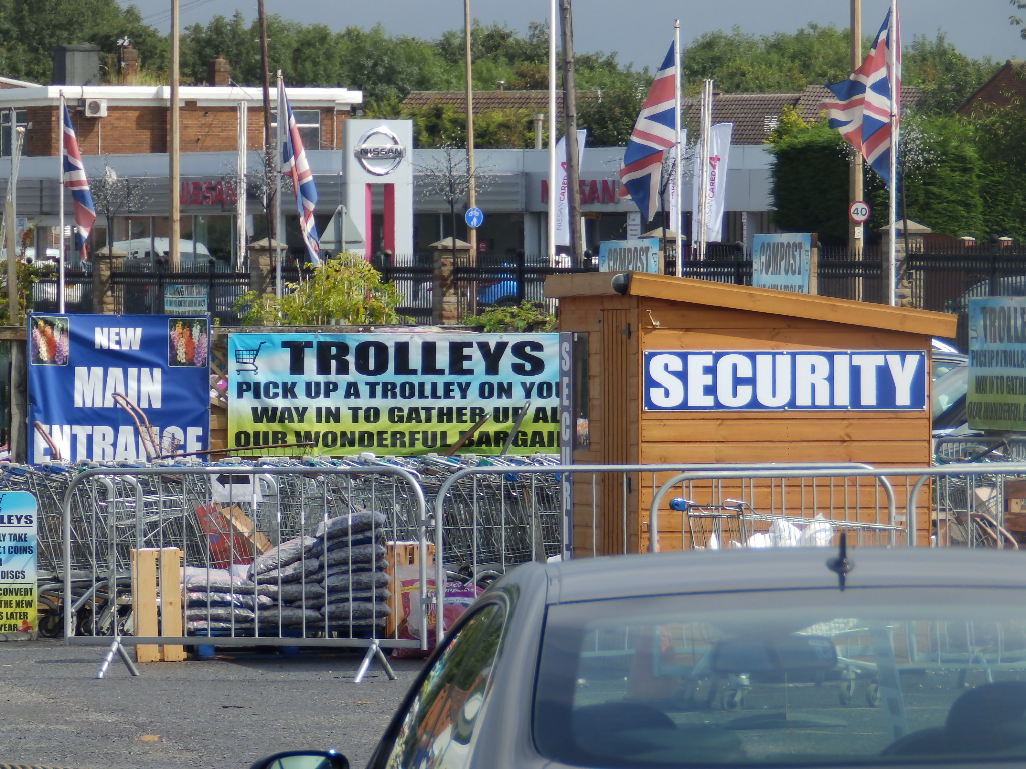 Garden Centres, Disappointment and a Widow