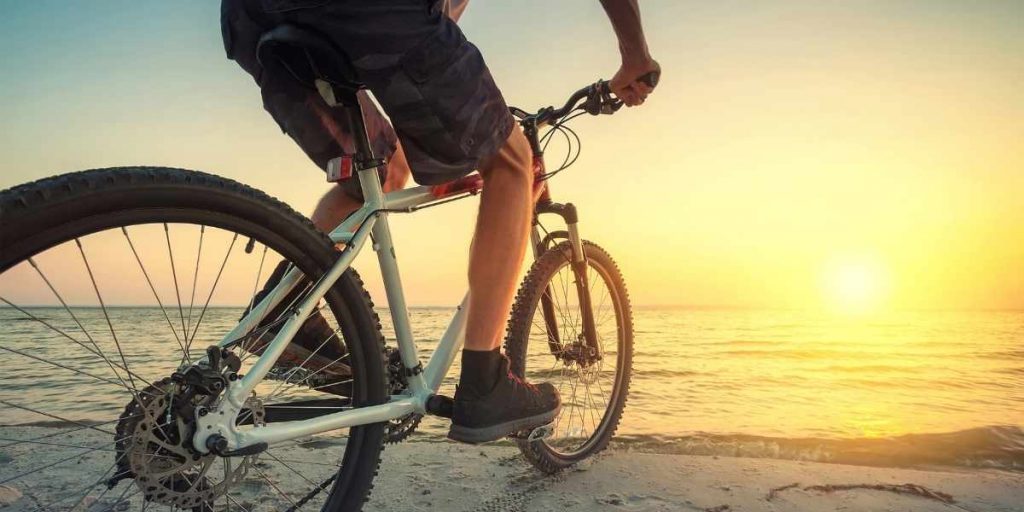 Target Bike Return Policy 2023 (Used, Assembled + Damaged)