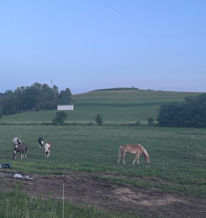【陸路でアメリカへ】アーミッシュの暮らす町 オハイオ州ベルリンへ行ってみた けせらせら夫婦体験記