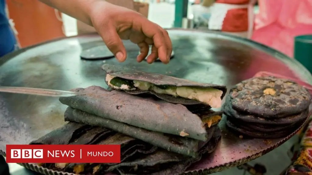 Los Mejores Quesos Para Quesadillas Oaxaca, Chihuahua Y Panela Queso