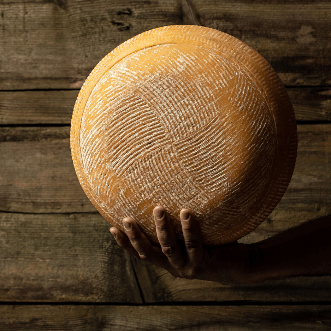 ¿Qué es el queso Gouda? Quesos del sur