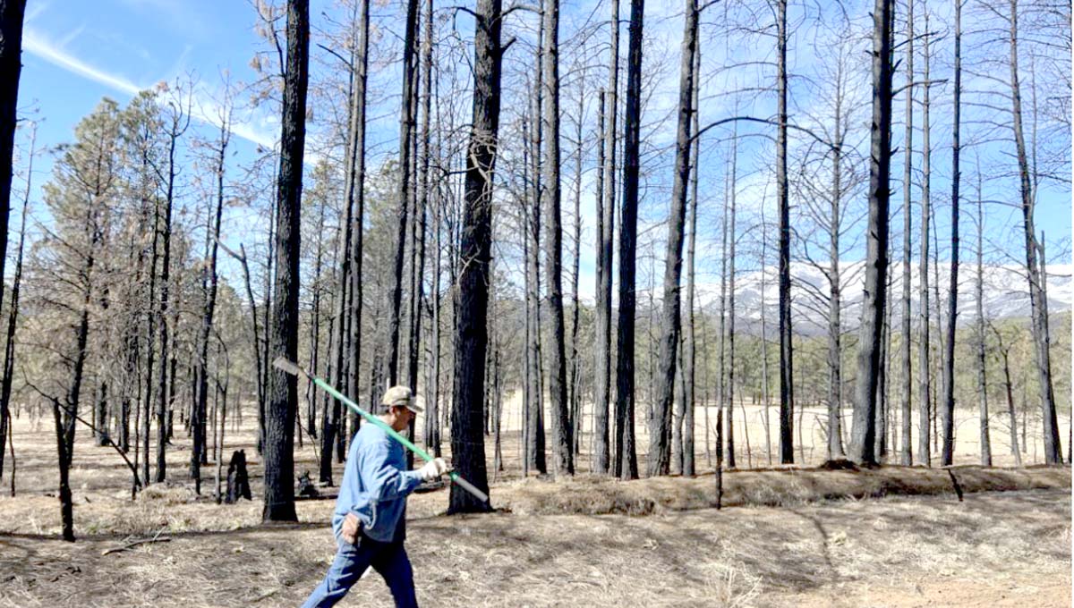 Wildfire Risk is Causing an Insurance Bubble in New Mexico Questa News