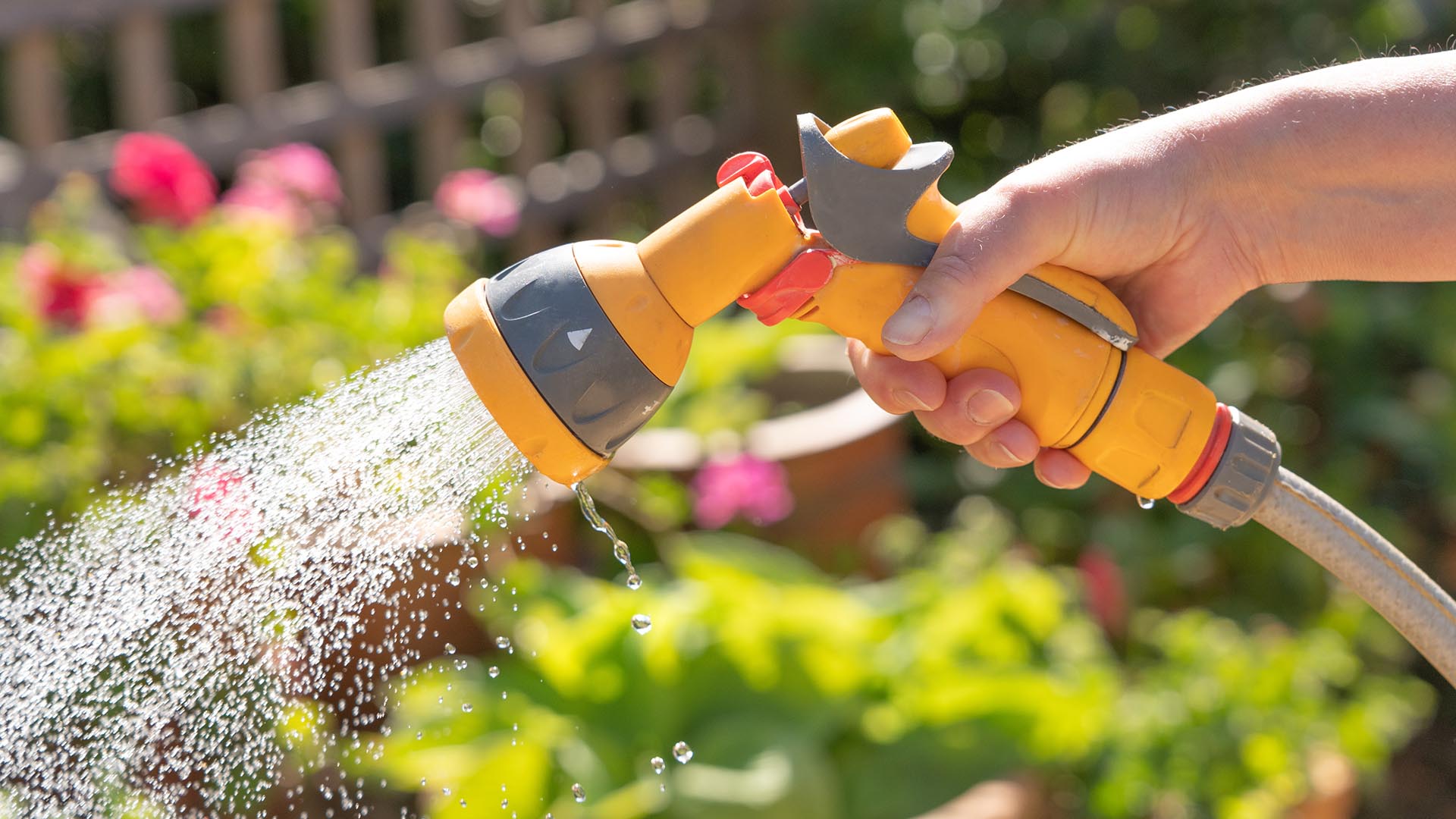Yorkshire Water announce hosepipe ban Quest Waste