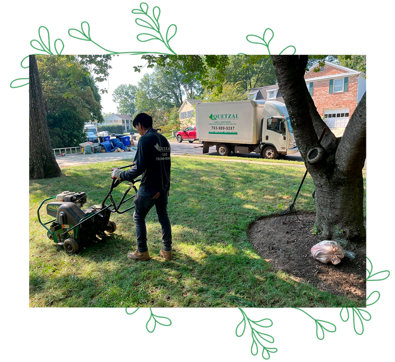 Quetzal Lawn Landscaping Landscaping company serving Arlington, VA