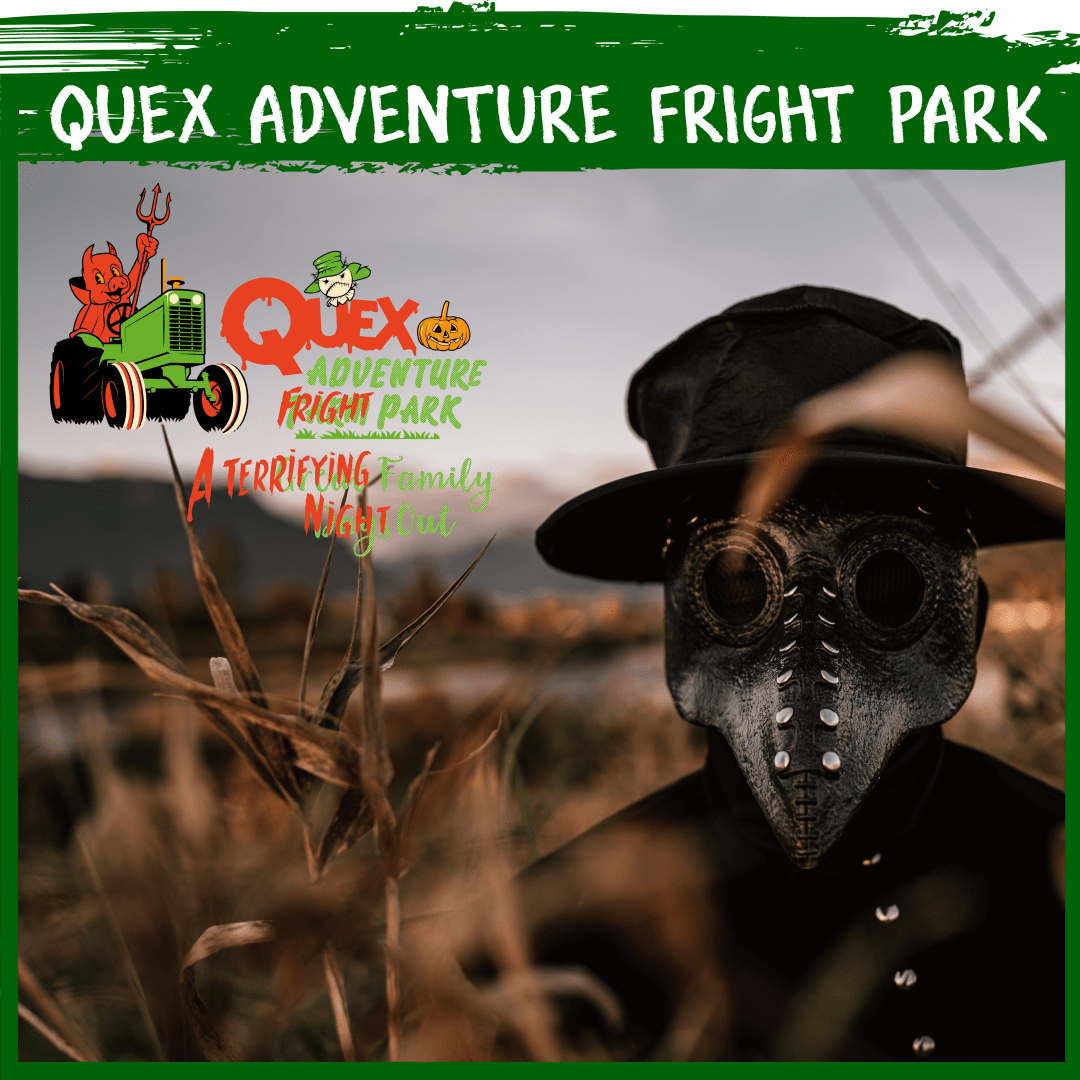 Quex Activity Centre Events, Group Bookings & Kids Parties,