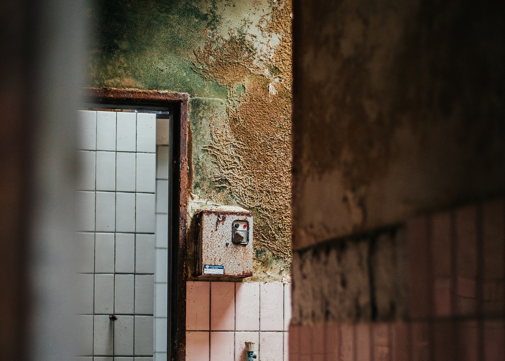 How to know if you’re getting sick from mold in your home Quick 2 Dry