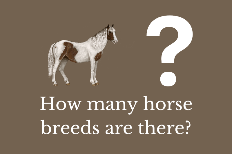 How many horse breeds are there? Quick Answer