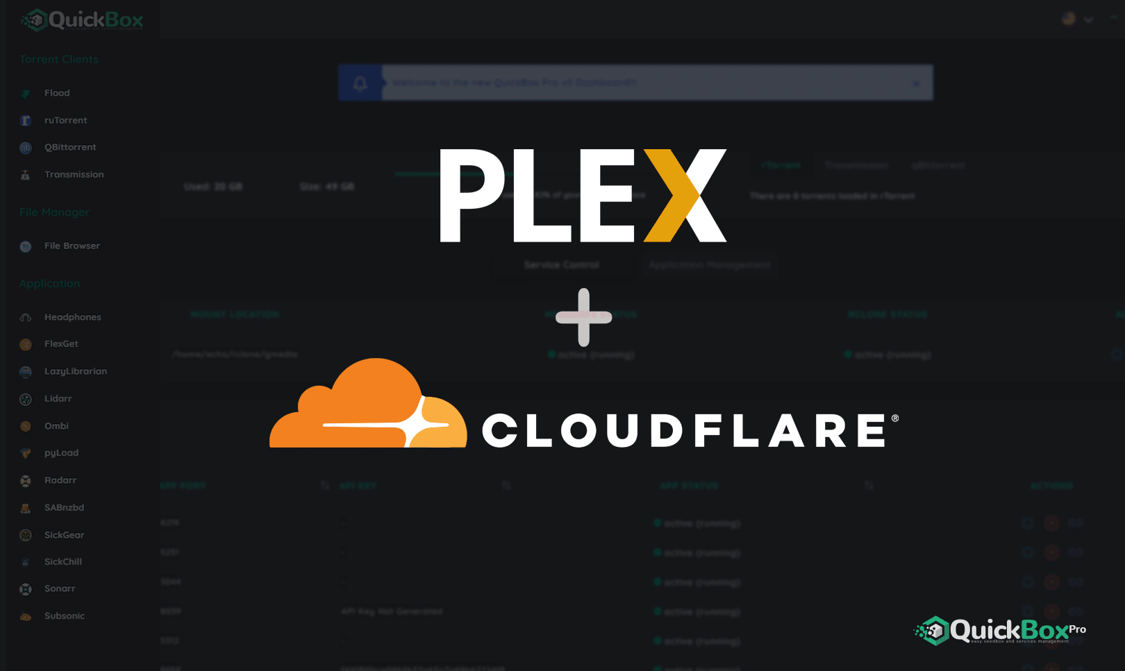 Setting up CloudFlare and Plex CDN QuickBox.IO