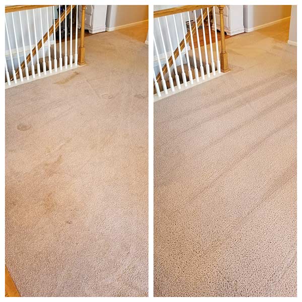 Our Work Quick Dry Pro